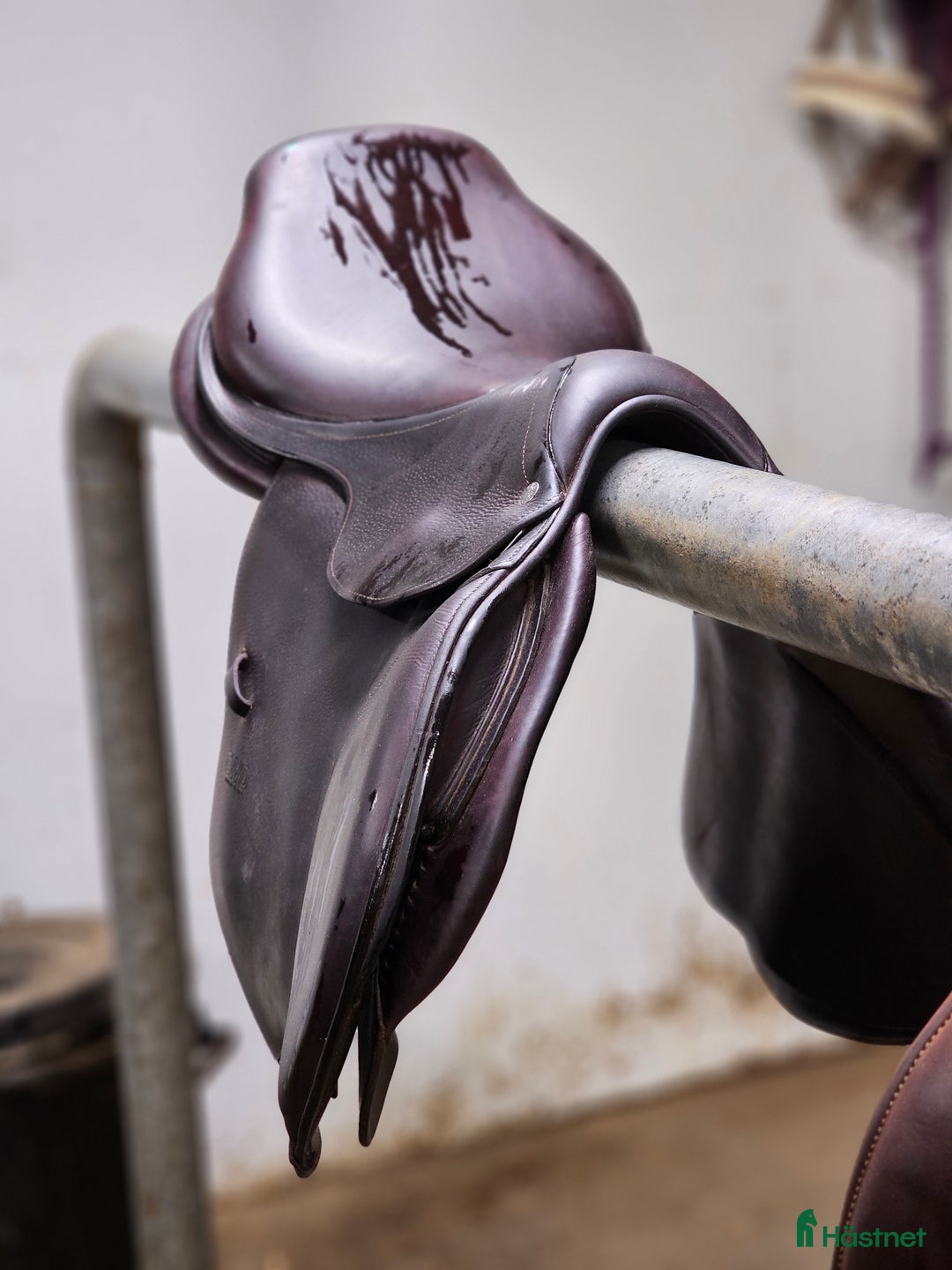 Sadlar hästutrustning till salu: Cwdsadel i Västerås - Annons 5