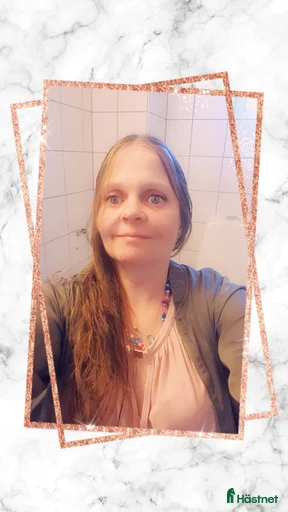 Galleribild {{count}}