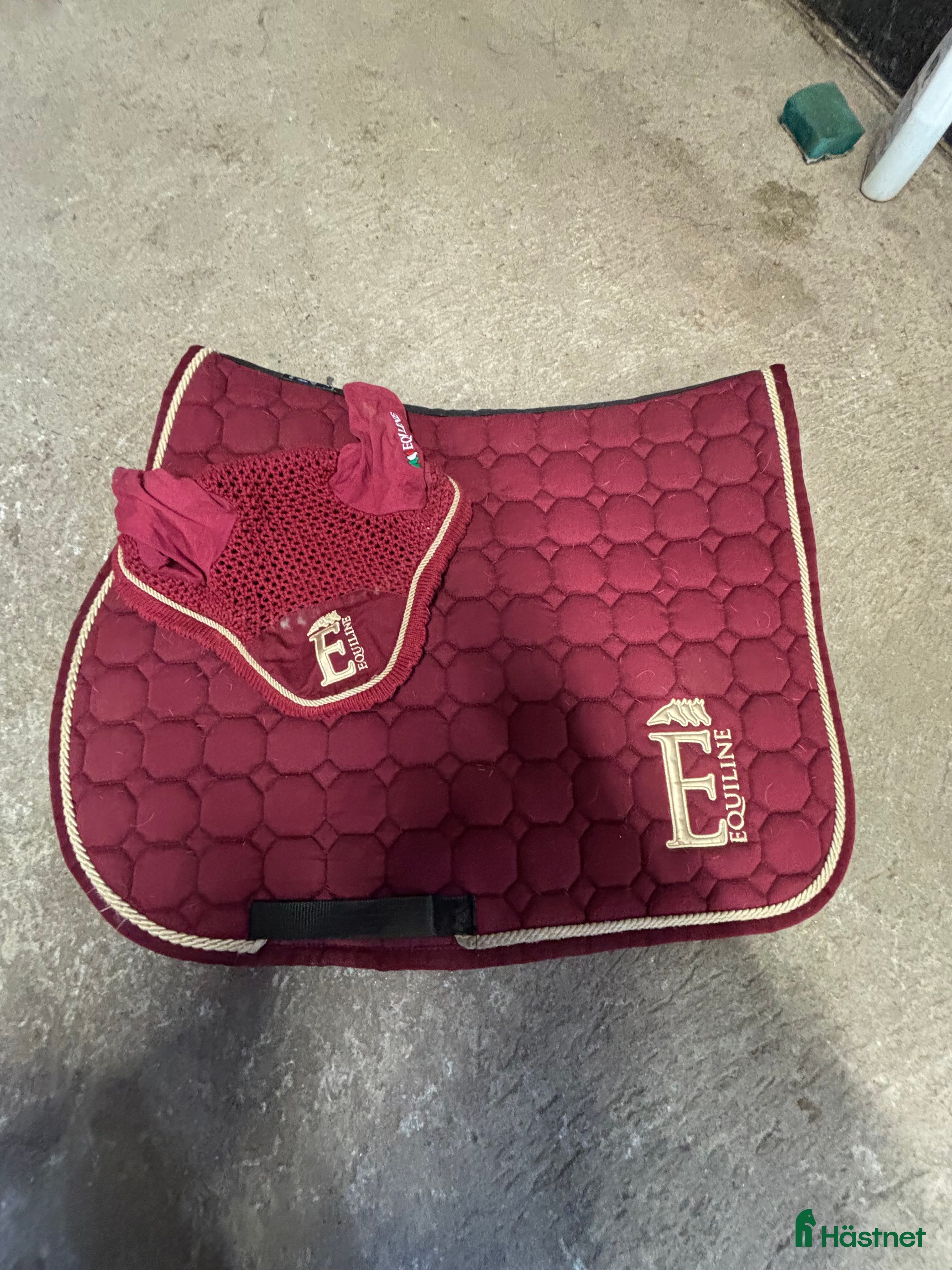 Schabrak & Vojlockar hästutrustning till salu: Equiline sett  i Vinninga - Annons 11