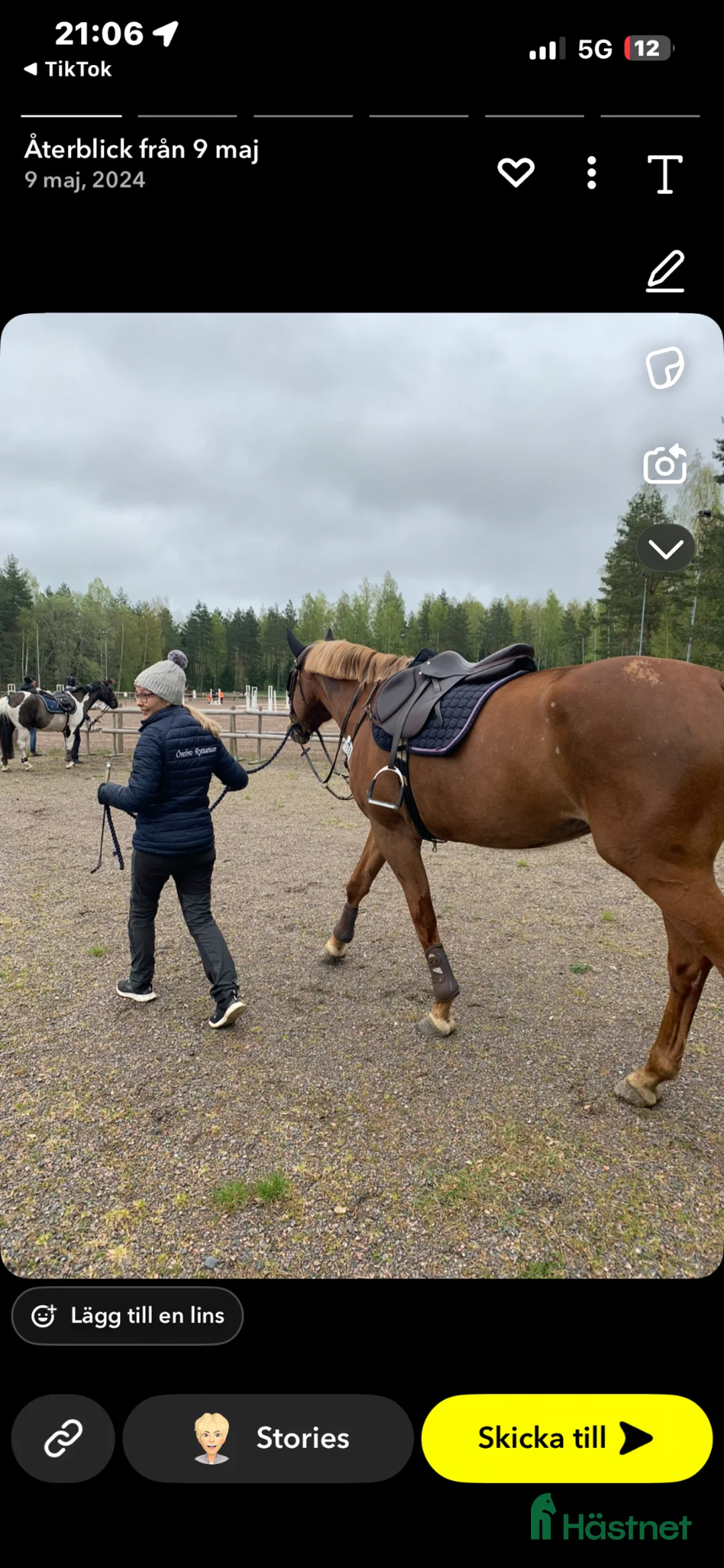  hästservice finnes: Utbildning/tillridning/försäljning/tävling i Stora Mellösa - Annons 1