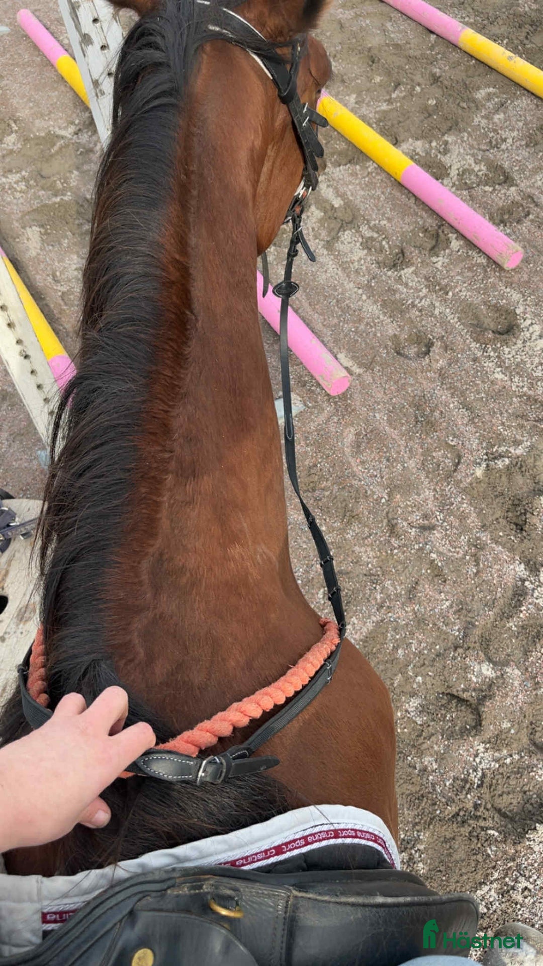 Galleribild {{count}}