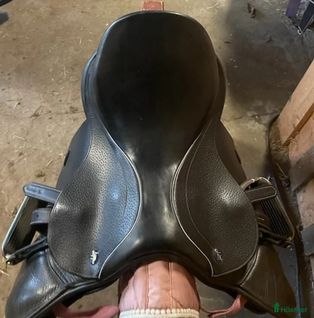 Sadlar hästutrustning till salu: Lippo Rivello Ezperanza ~ komplett  i Ballingslöv - Annons 8