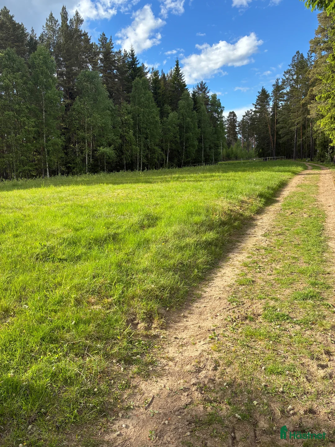  stallplats finnes: Älvbacka gården  i Hedemora - Annons 5