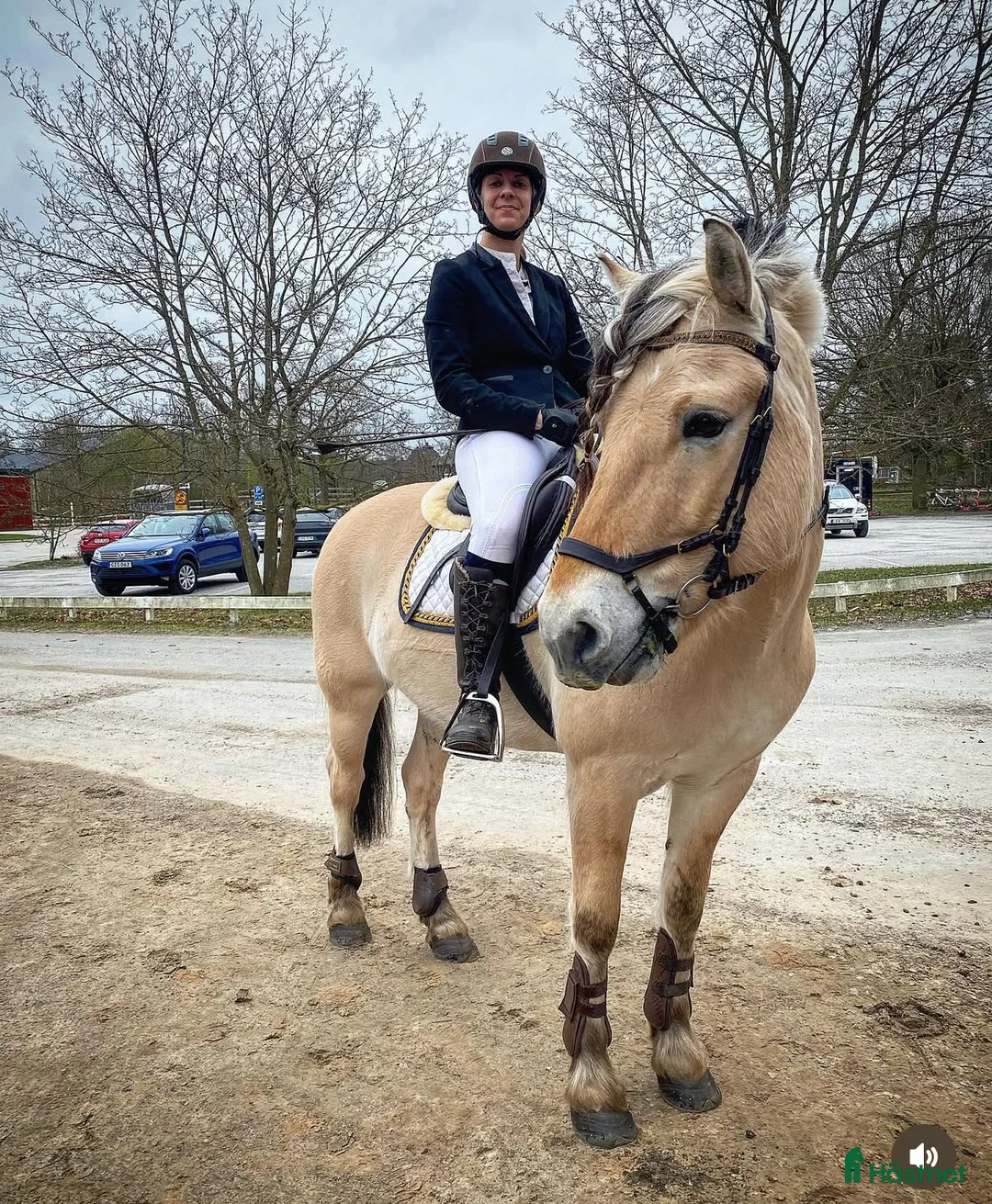  medryttarhäst finnes: Dressyr intresserad ryttare sökes till Fjording i Västerhaninge - Annons 17