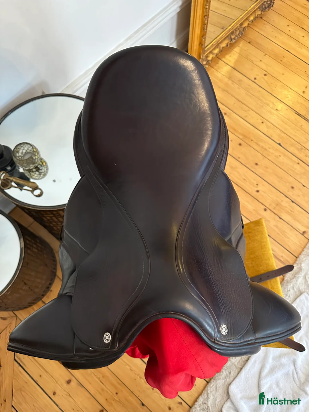 Sadlar hästutrustning till salu: Equipe  i Svenstavik - Annons 6