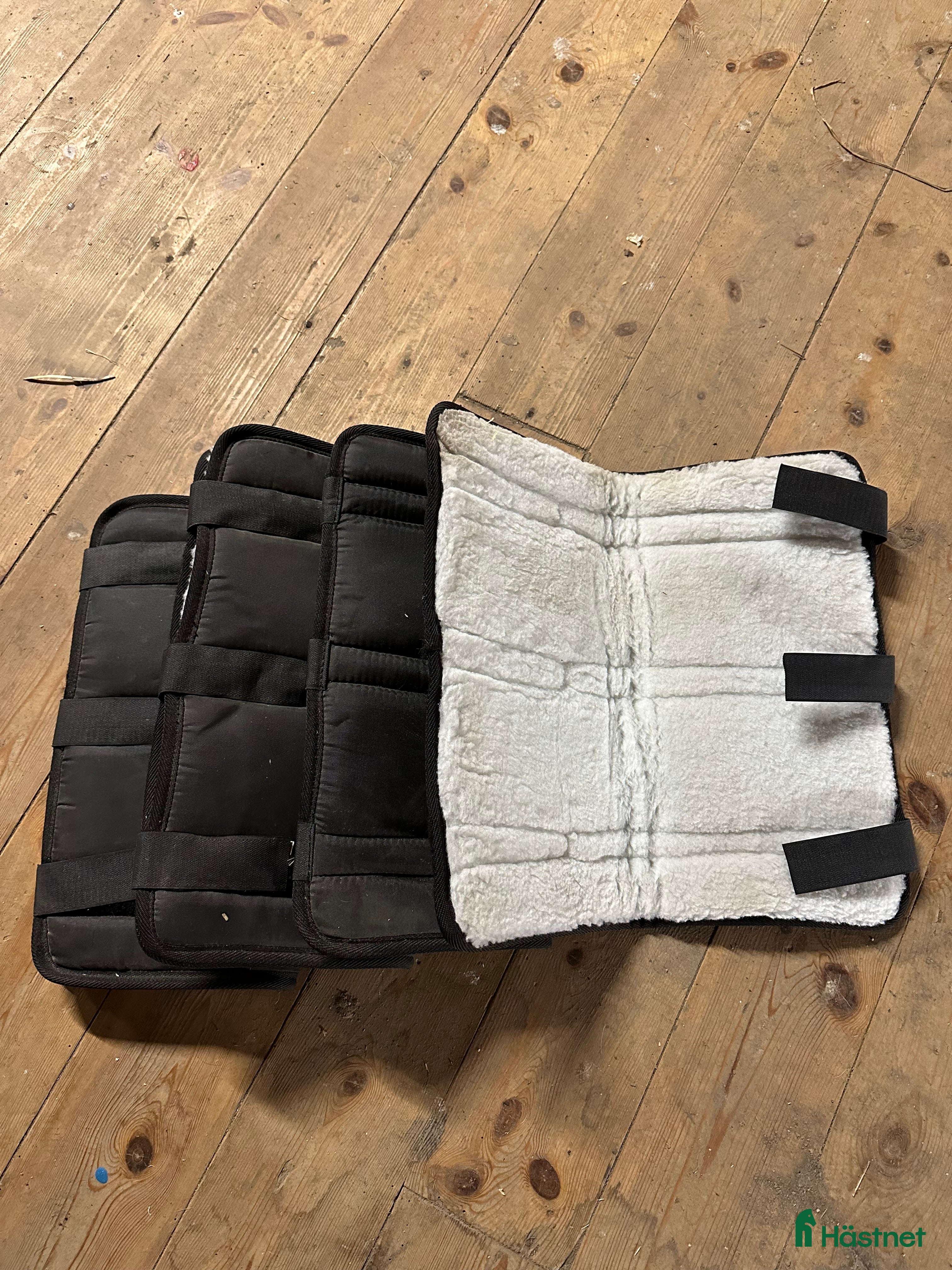 Benskydd hästutrustning till salu: Korta transportskydd i Järfälla - Annons 16