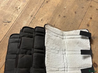 Benskydd hästutrustning till salu: Korta transportskydd i Järfälla - Annons 21