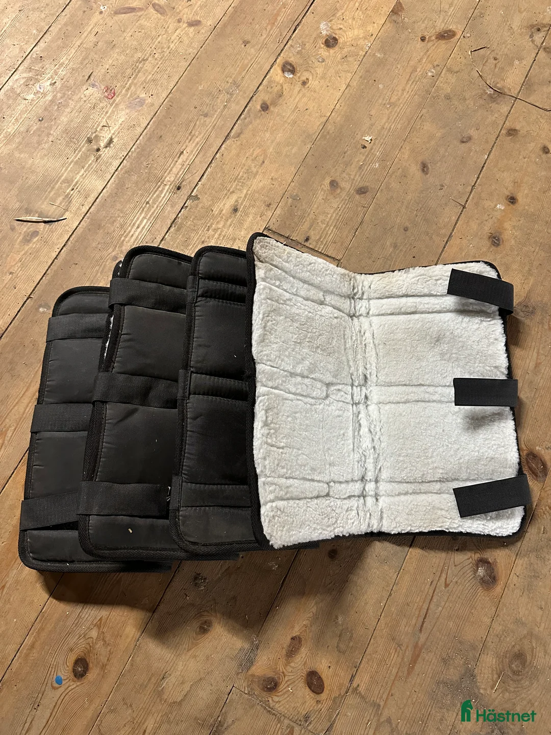 Benskydd hästutrustning till salu: Korta transportskydd i Järfälla - Annons 1