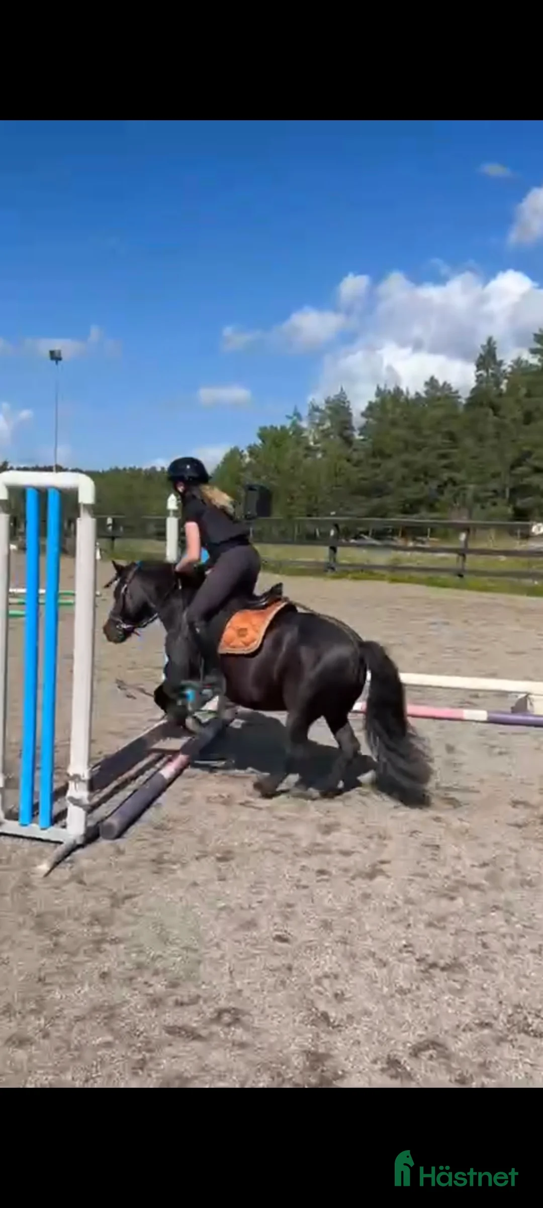 Schabrak & Vojlockar hästutrustning till salu: EQUESTRIAN STOCKHOLM  i Ljusterö - Annons 3