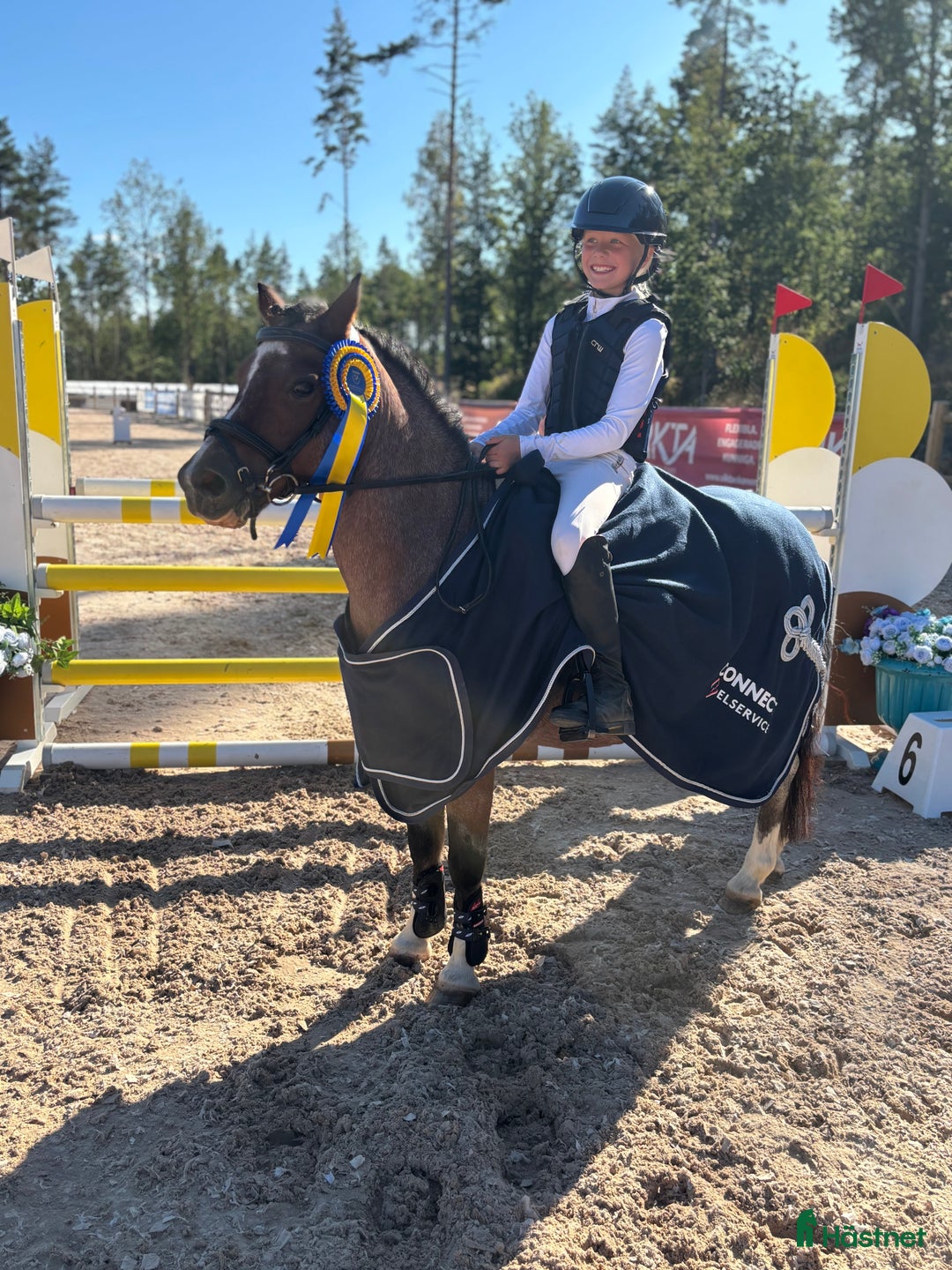 Hoppning hästar till salu: Guldponny i Lekeryd - Annons 3