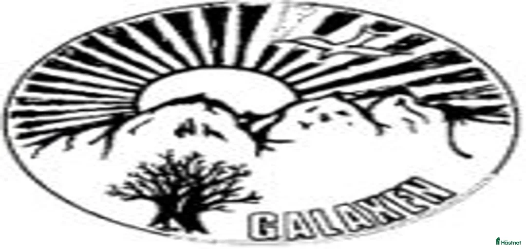 Galleribild {{count}}