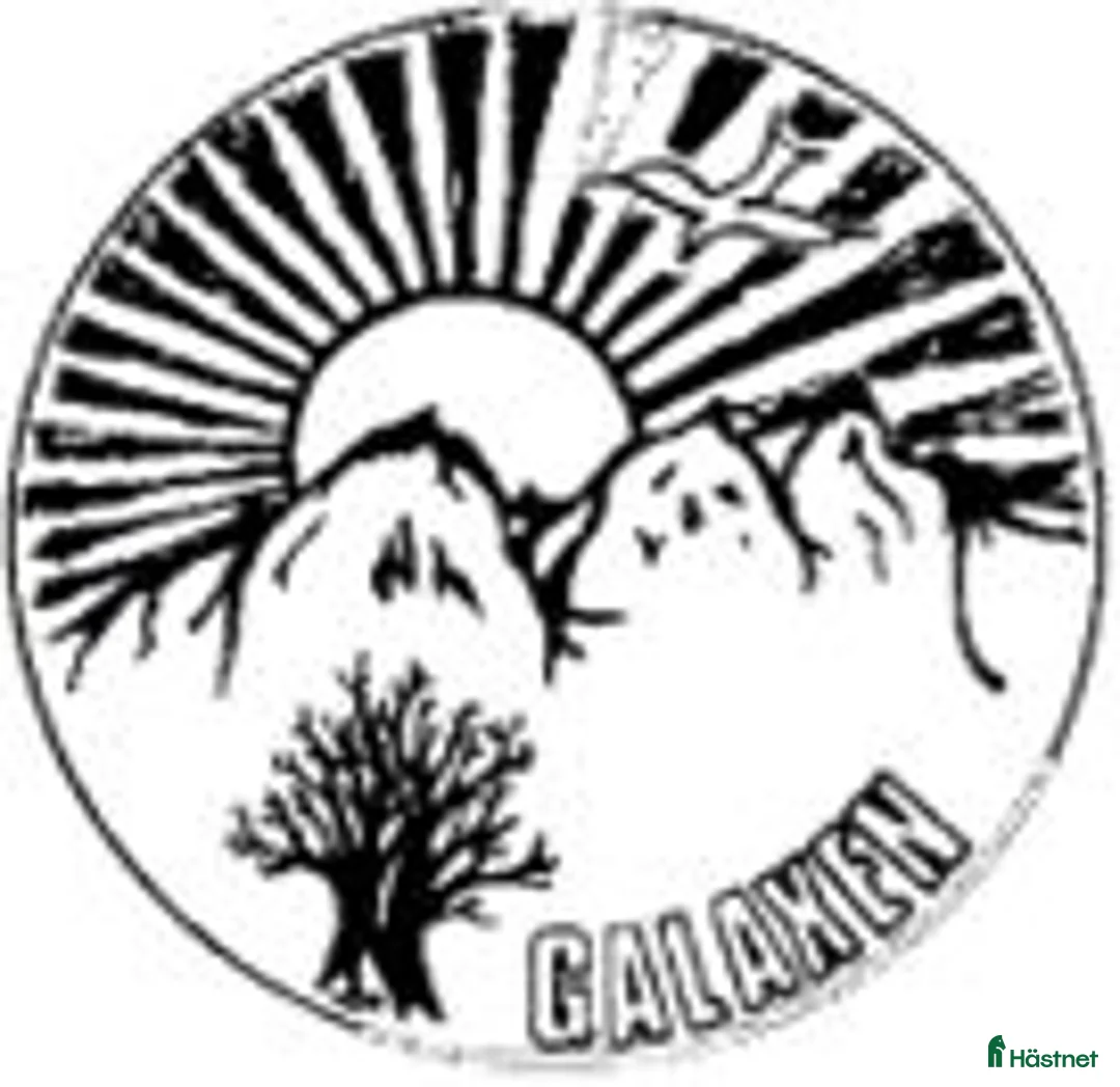 Galleribild {{count}}