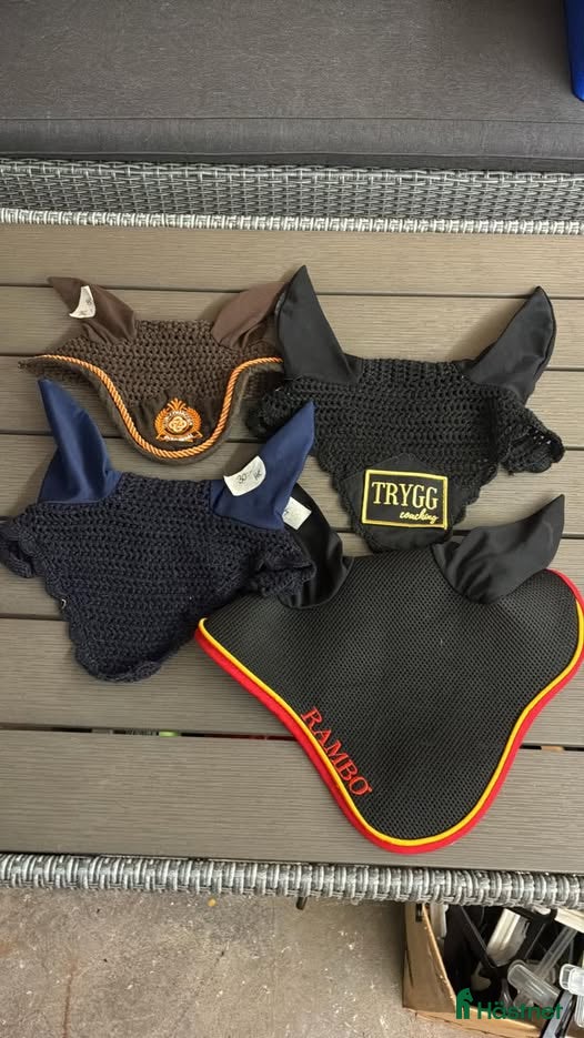 Övrig Hästutrustning hästutrustning till salu: Huvor stl ponny och Cob i Söderköping - Annons 2