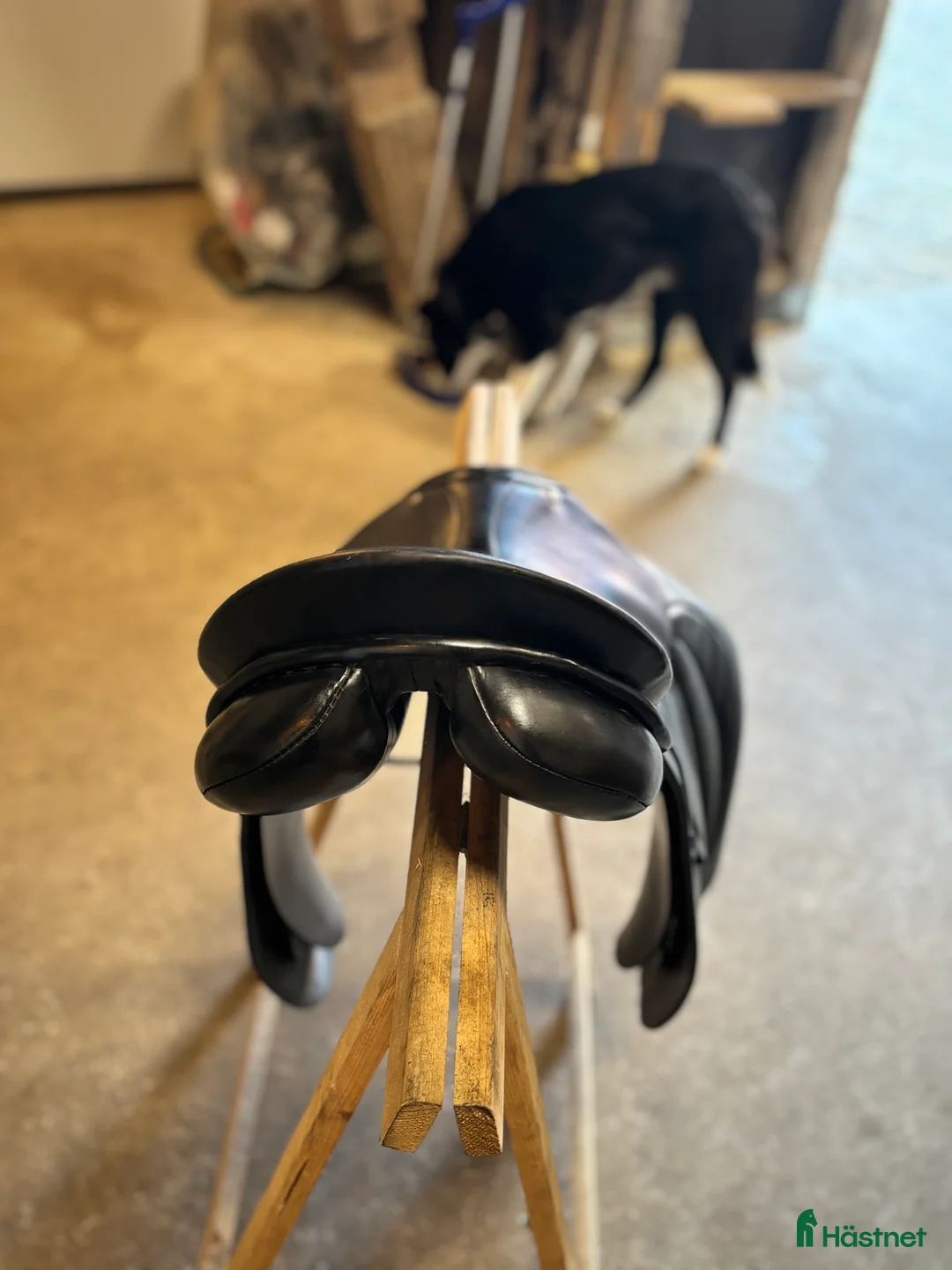 Sadlar hästutrustning till salu: Allround sadel 16,5  i Falkenberg - Annons 3