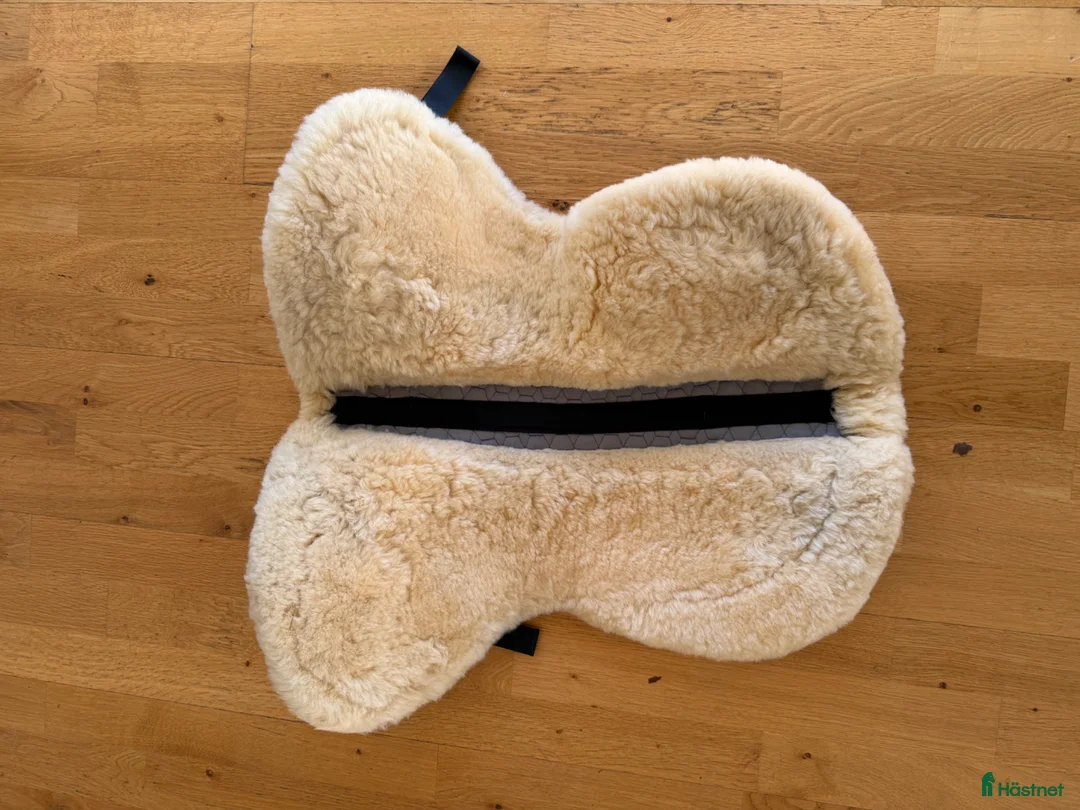 Schabrak & Vojlockar hästutrustning till salu: Mattes fårskinnspad - Annons 2