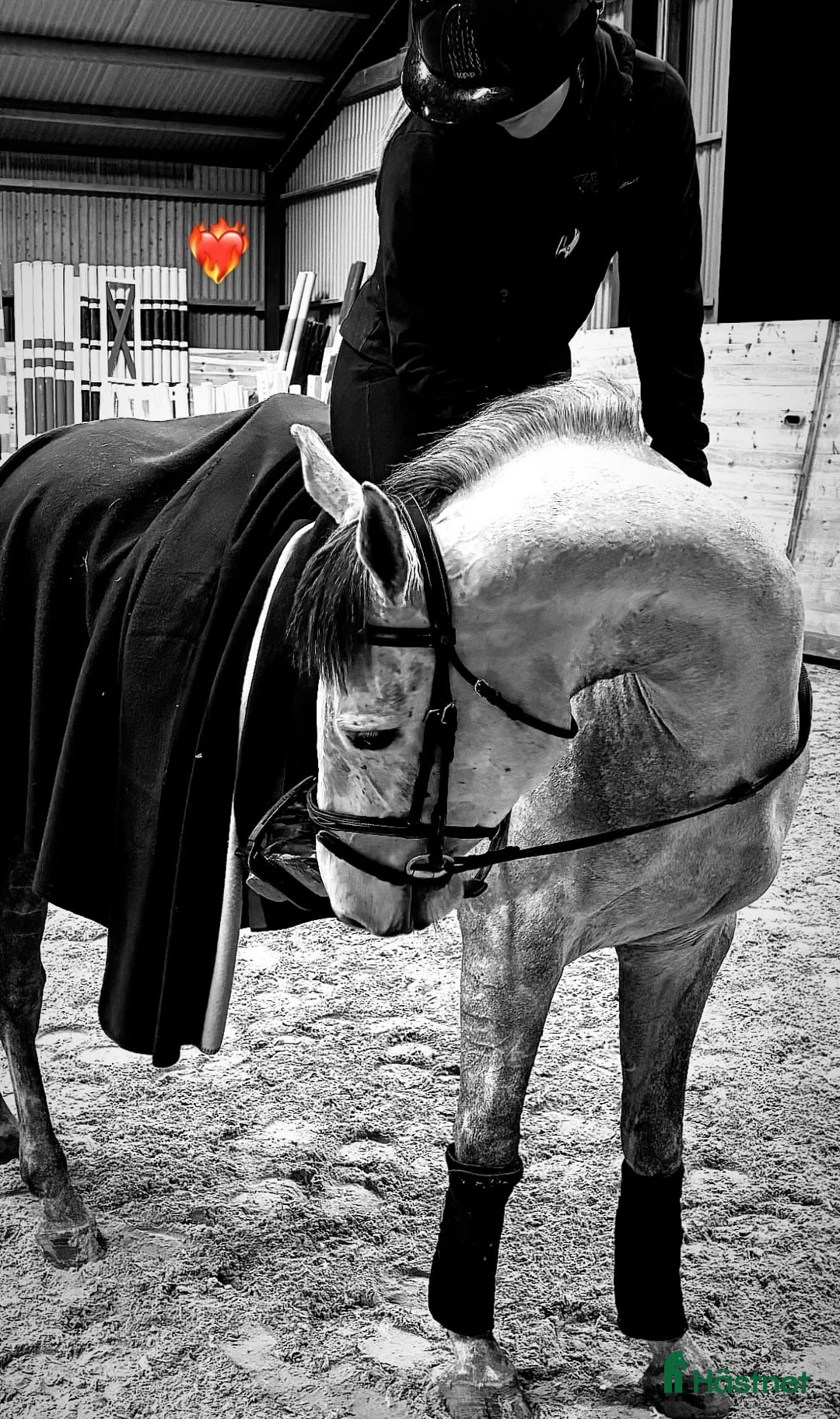 Hoppning hästar till salu: Fantastisk ponny!!💫💕 - Annons 2