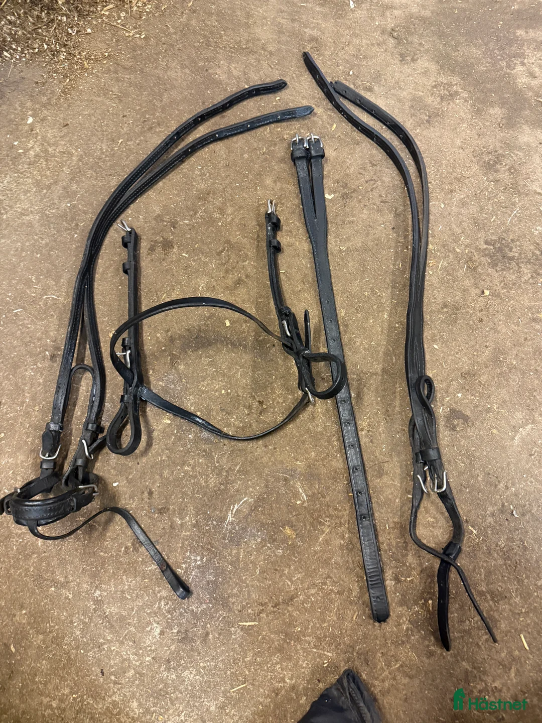 Travselar trav till salu: Travutrustning i Rånäs - Annons 8