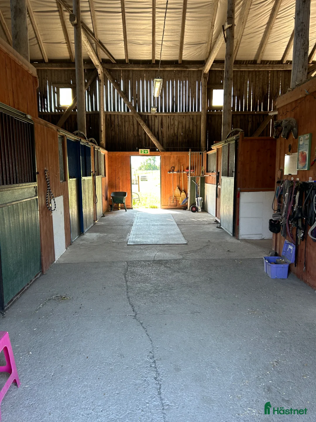  stallplats finnes: Lösdrift till ston i Sparrsätra  - Annons 3