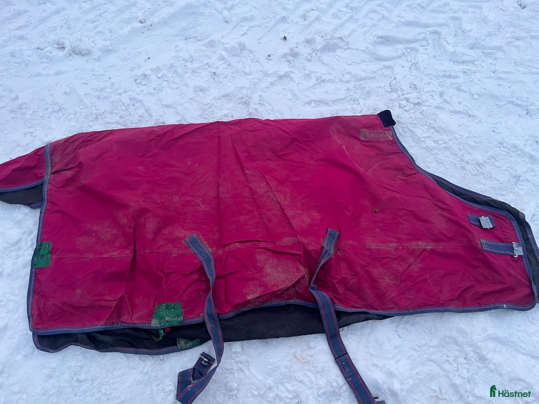 Täcken hästutrustning till salu: Täcken  i Södertälje - Annons 6