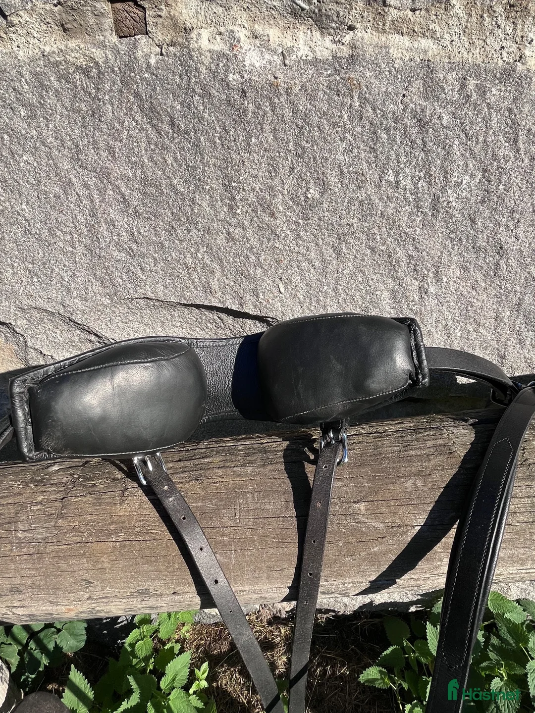 Körselar körning till salu: Bröstsele - Annons 2