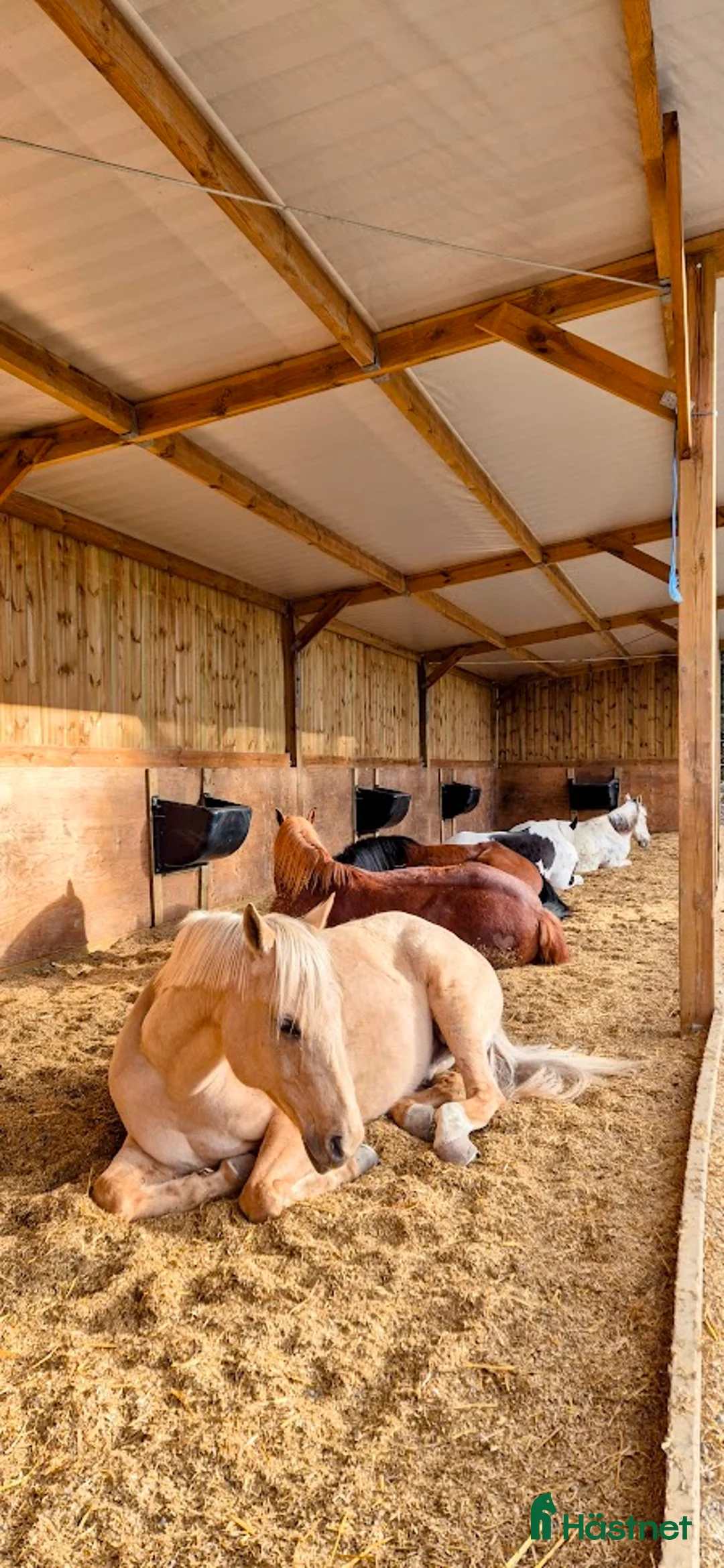  stallplats finnes: Lösdrift i Tullinge i Tullinge - Annons 2