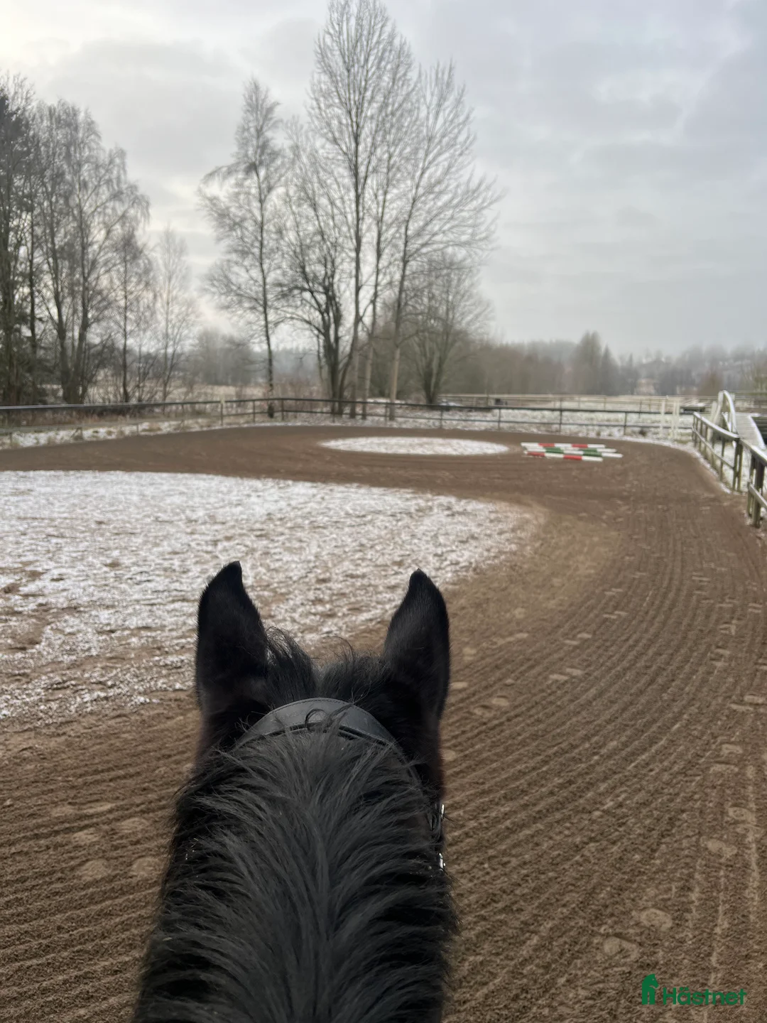  stallplats finnes: Stall 15 min från Uddevalla och Trollhättan  i Uddevalla - Annons 1