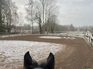 stallplats Stall 15 min från Uddevalla och Trollhättan - Annons 2