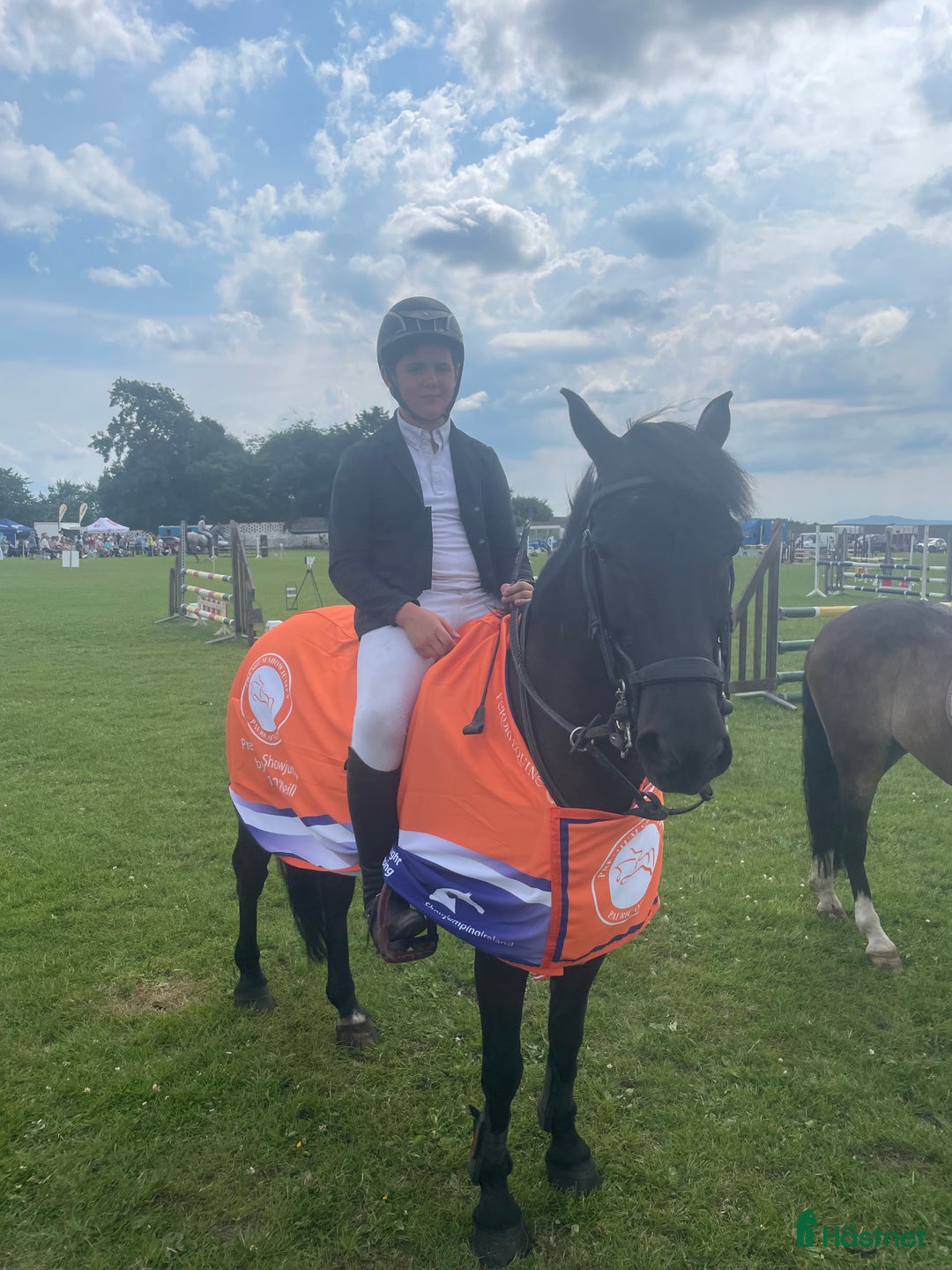 Hoppning hästar till salu: ⭐️ Ultimate 128 Schoolmaster⭐️ i Stockholm - Annons 2