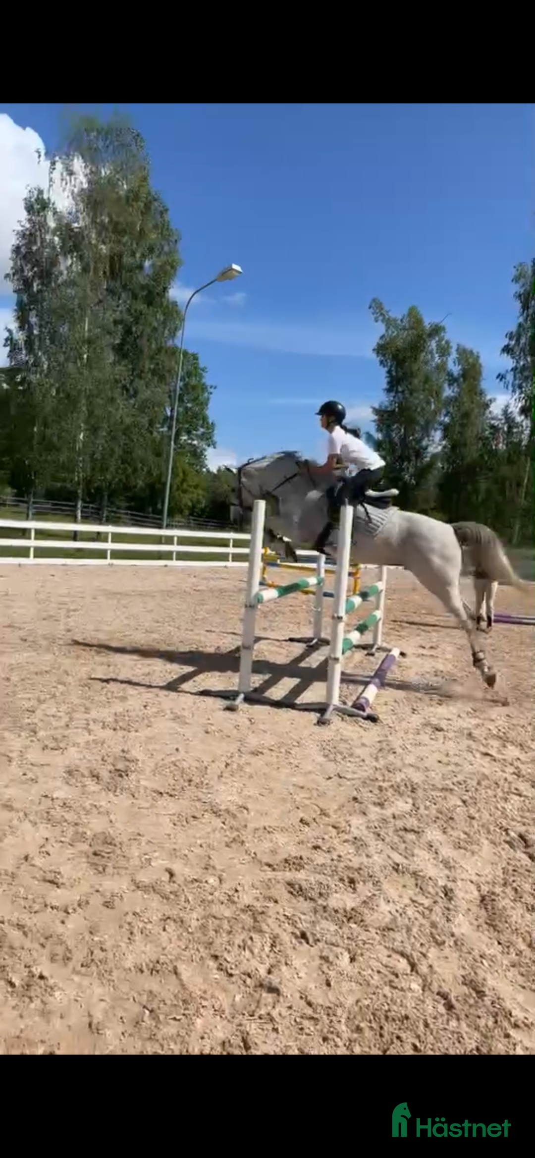  medryttarhäst finnes: Trevligt sto söker medryttare i Ekerö - Bild 11