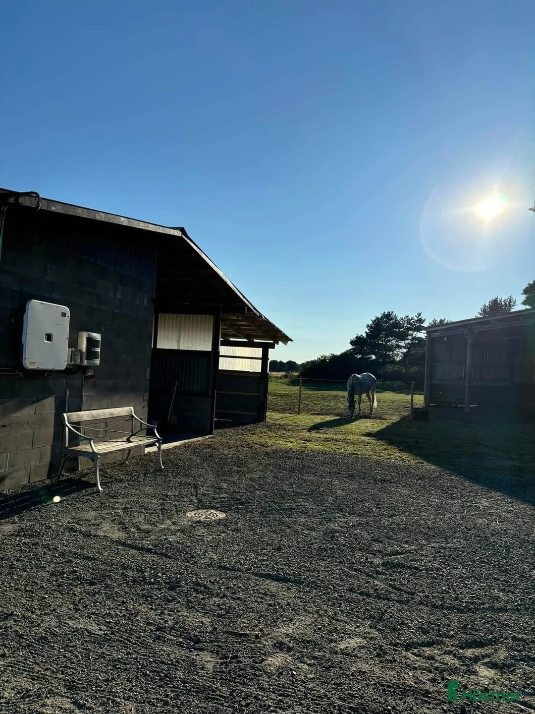  stallplats finnes: Nu har vi lediga lösdriftplatser/ boxplatser  i Gärds Köpinge - Annons 2