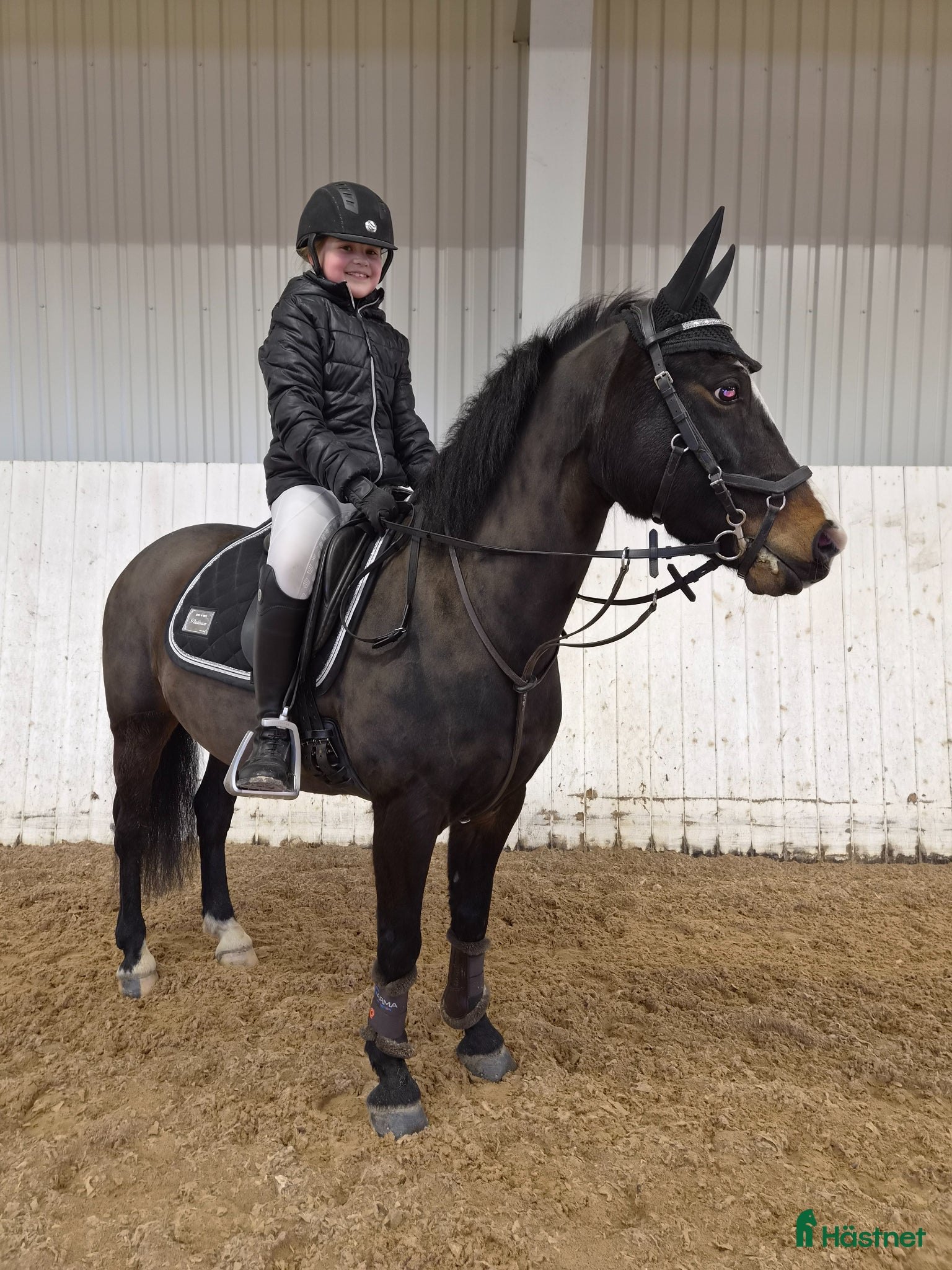  hästar B-ponny med potential ⭐️ - Annons 15