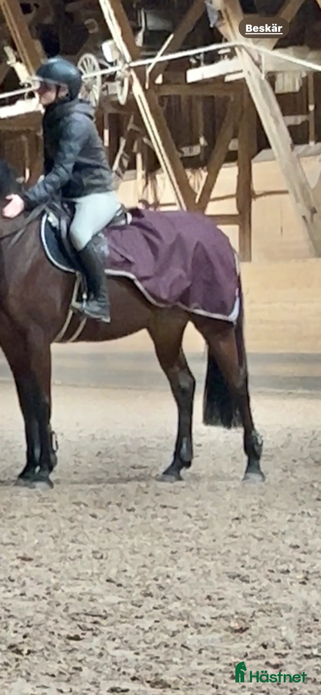 Täcken hästutrustning till salu: Amigo ländtäcke  i Enskede - Annons 2