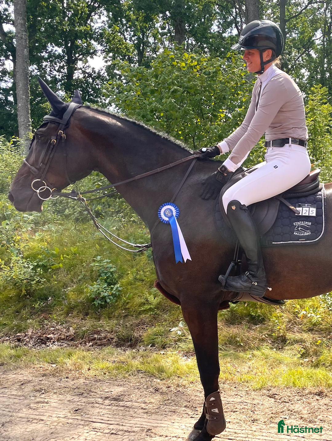Hoppning hästar till salu: Välhoppande valack med kapacitet i Falkenberg - Annons 2