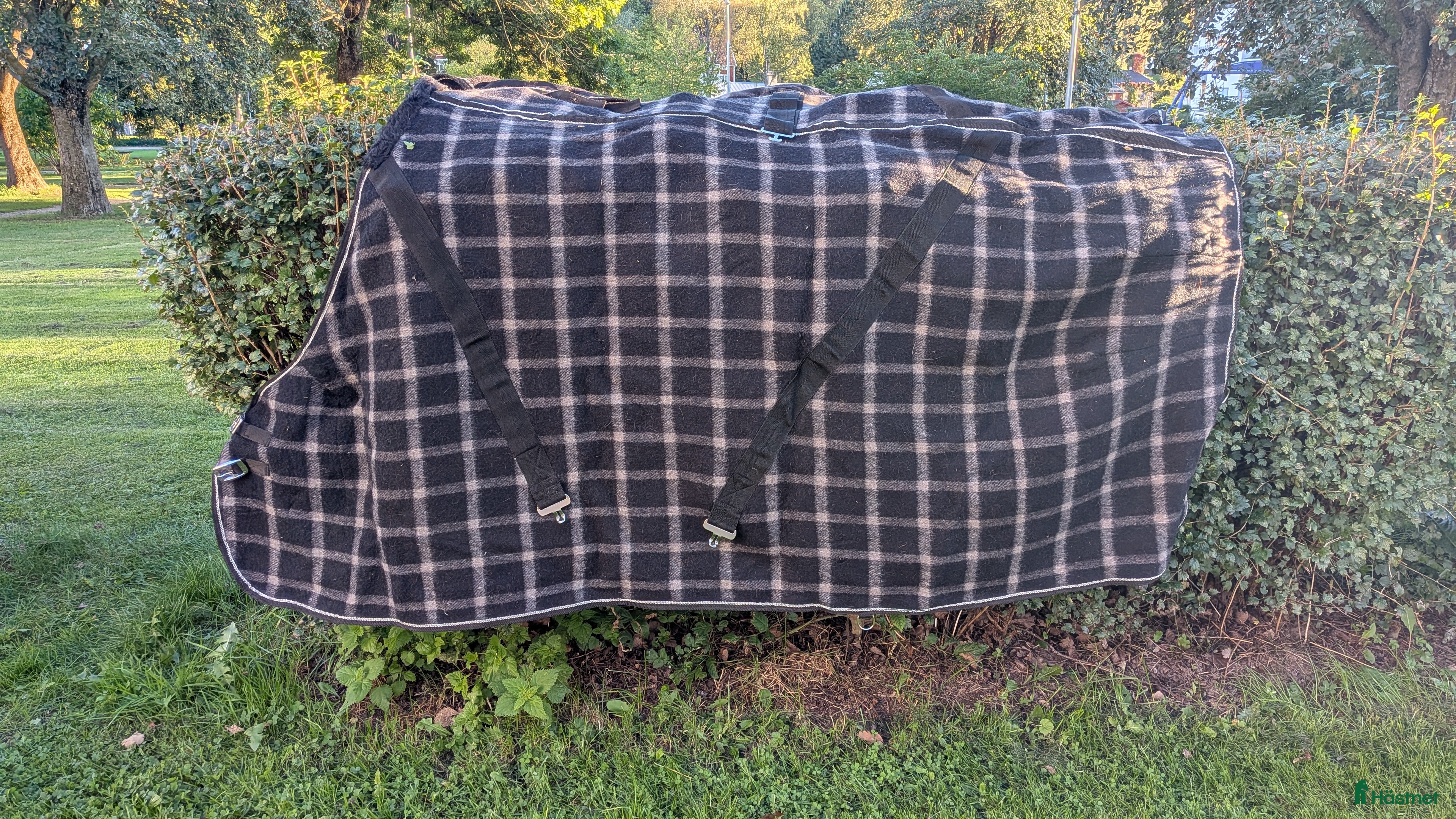 Täcken hästutrustning till salu: Ulltäcke i Gnesta - Annons 24