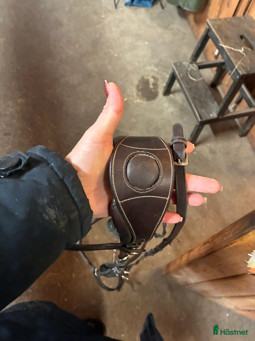 Träns hästutrustning till salu: Träns Ps of sweden  - Annons 4