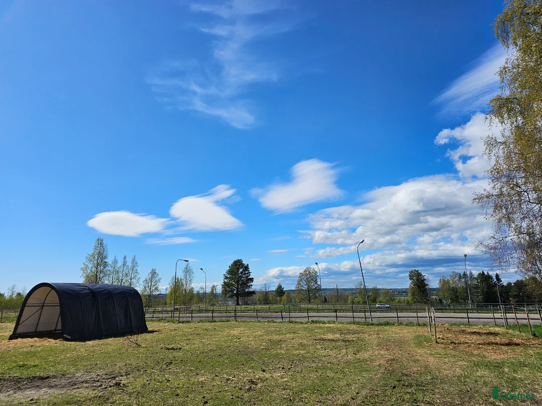  stallplats finnes: Plats lösdrift - Annons 2