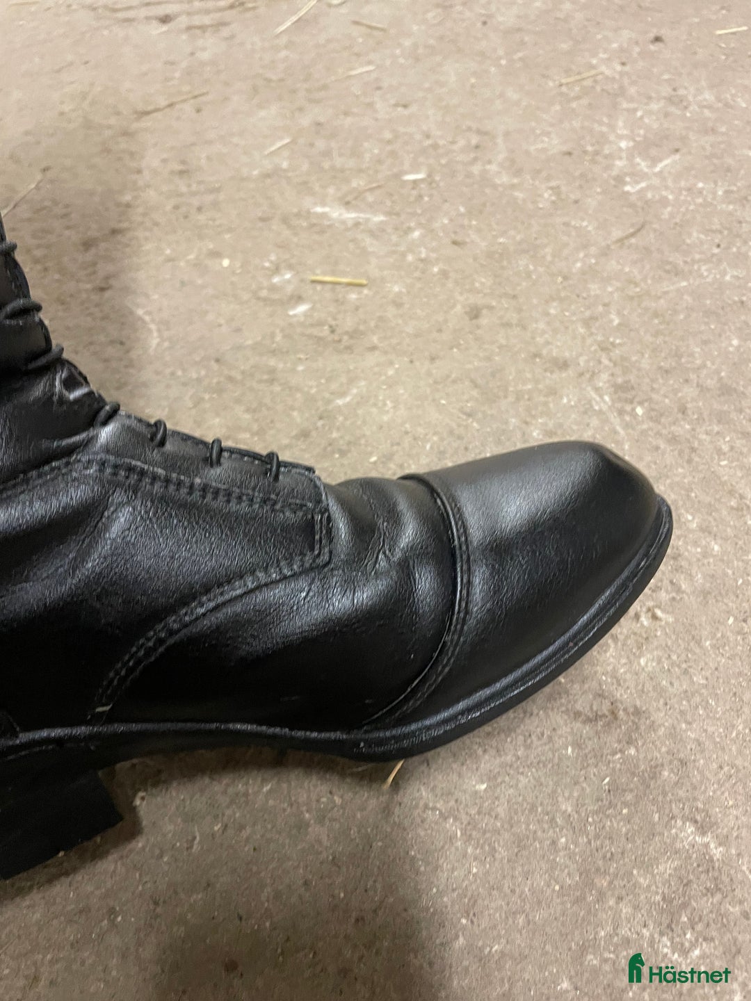 Ridstövlar ryttarutrustning till salu: Ridstövlar i Katrineholm - Annons 23