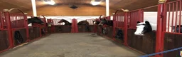  stallplats finnes: Stallplats Anneberg/älvsåker Kungsbacka  - Annons 2