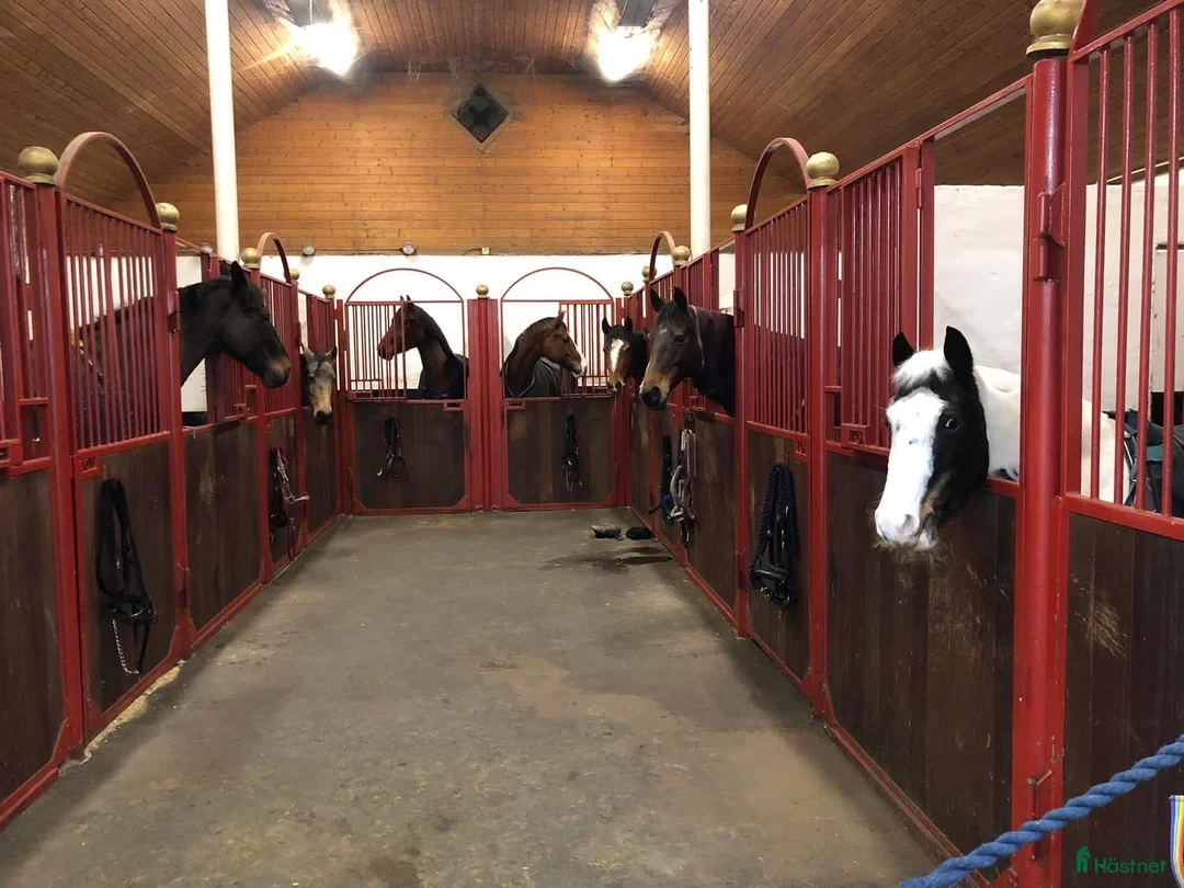  stallplats finnes: Stallplats Anneberg/älvsåker Kungsbacka  - Annons 2
