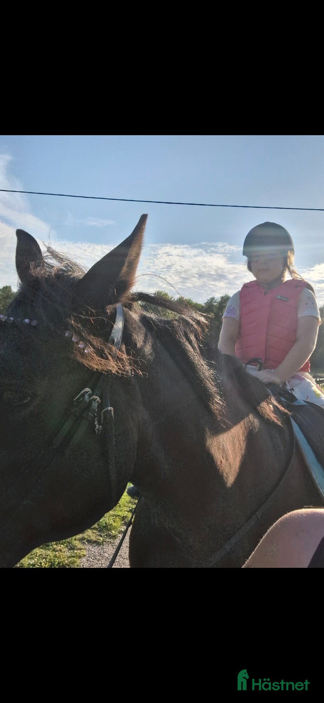  medryttarhäst finnes: Snäll 17 årig valack söker medryttare i järfälla - Annons 3