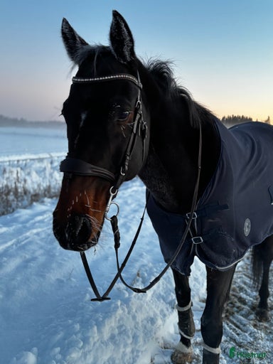 Galleribild {{count}}