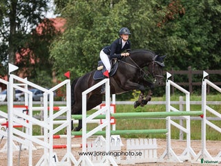 hästservice Inridning, Tillridning & Försjäljning i Eldsberga - Annons 12