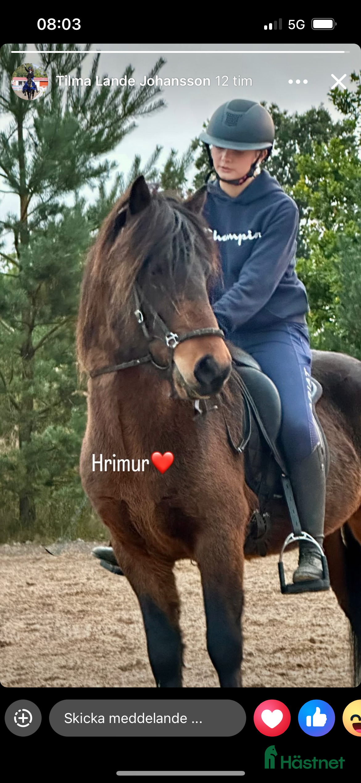  hästar Blivande stjärna! i Kalmar - Annons 19