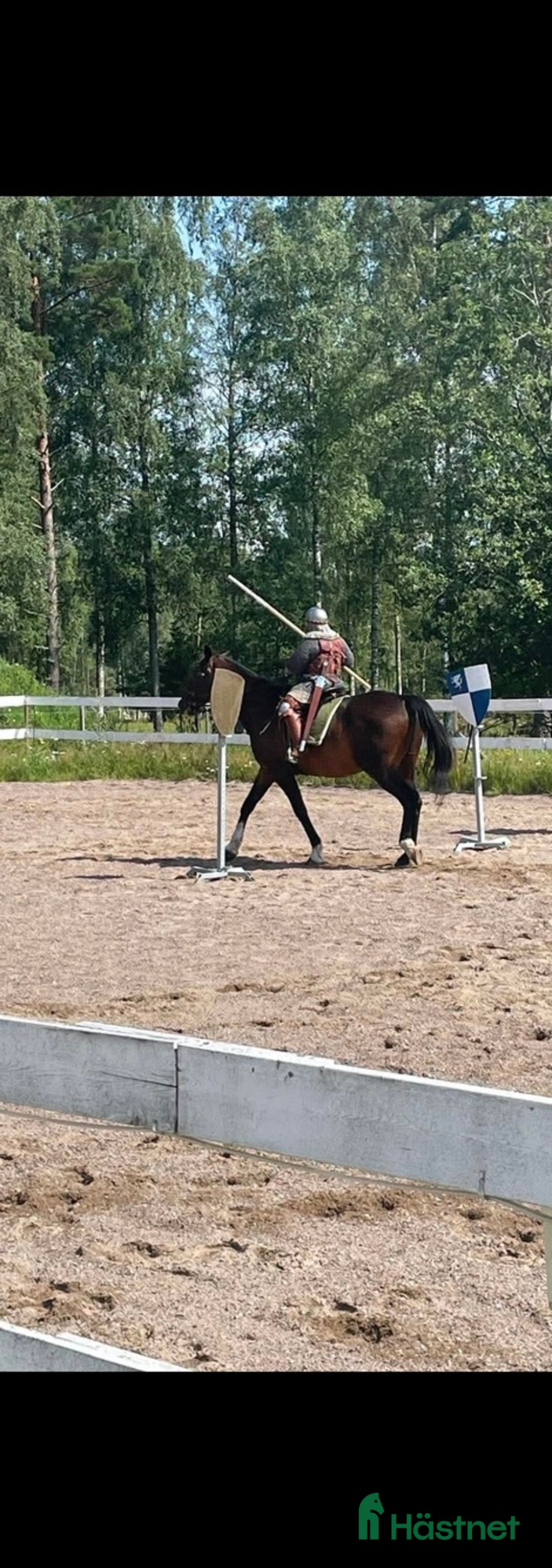 Allround hästar till salu: Vår bästa vän lånas ut på foder i Garphyttan - Annons 3