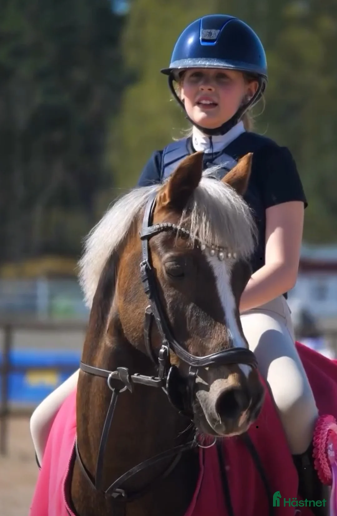 Hoppning hästar till salu: Sagoponny kat B i Rönninge - Annons 2