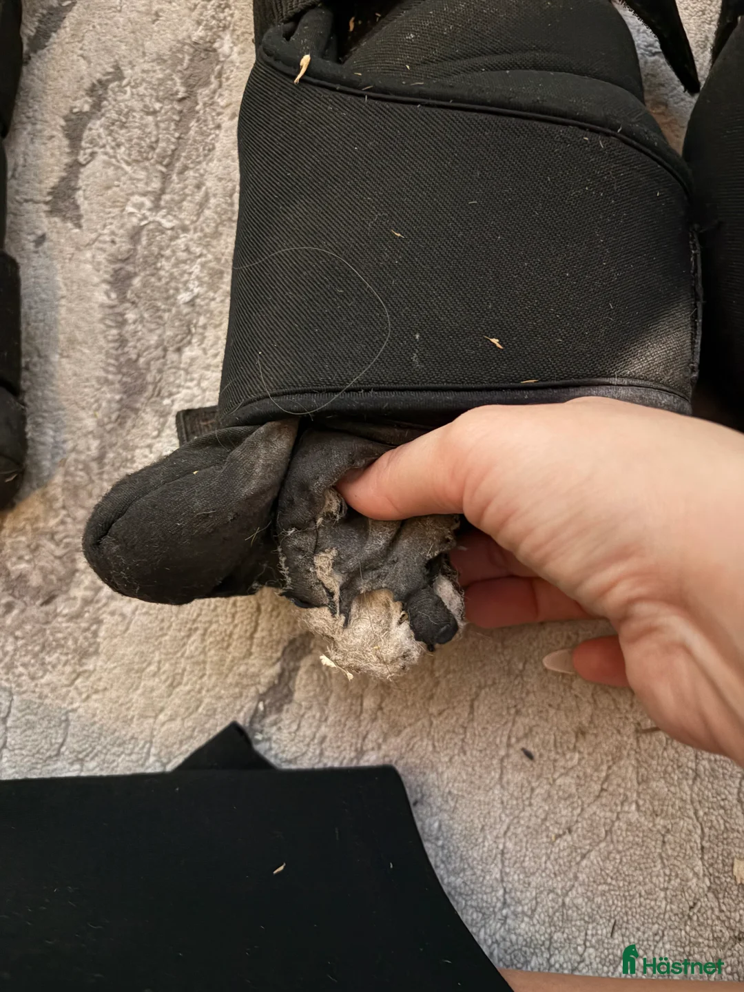 Benskydd hästutrustning till salu: Back on track stallbandage  - Annons 2