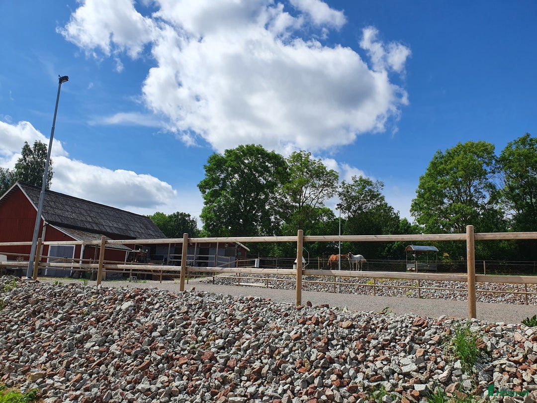  stallplats finnes: Box utanför Falköping för snäll häst och ägare i Falköping - Annons 4