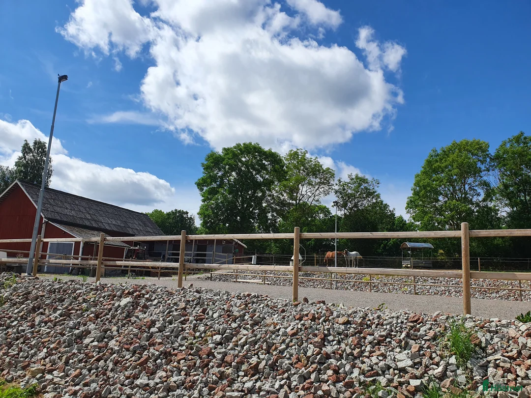  stallplats finnes: Box utanför Falköping för snäll häst och ägare - Annons 4