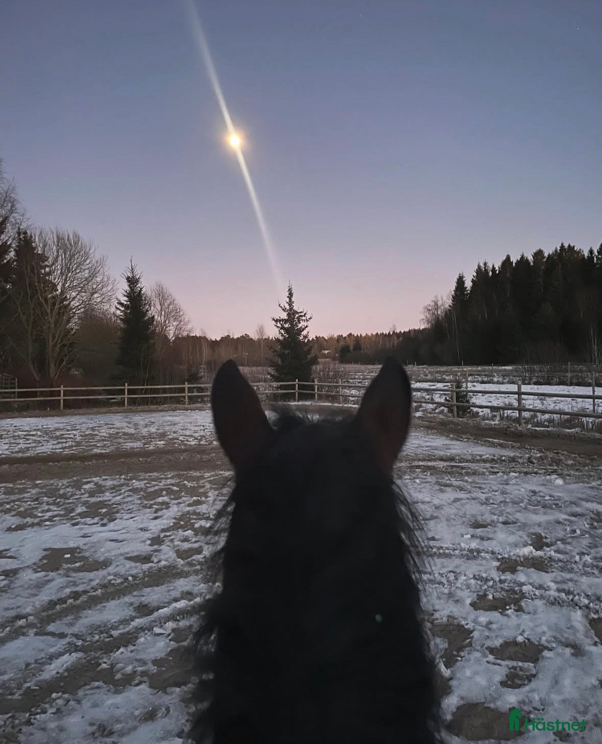  stallplats Stallplatser för dig som vill sköta dig själv  i Trollhättan - Annons 4