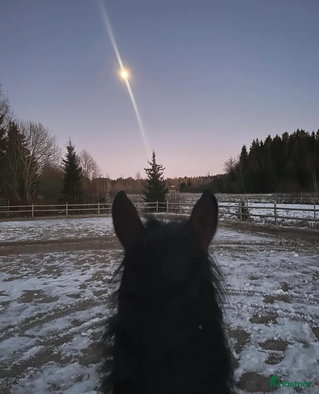  stallplats finnes: Stallplatser för dig som vill sköta dig själv  i Trollhättan - Annons 1